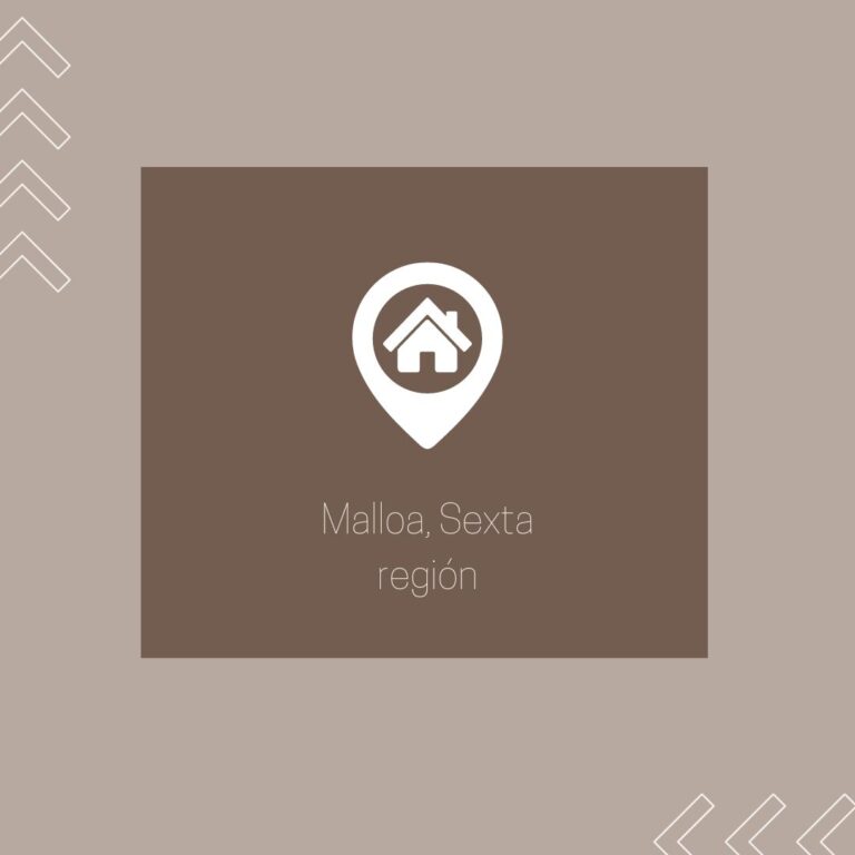 WhatsApp Image 2023-05-26 at 13.58.10