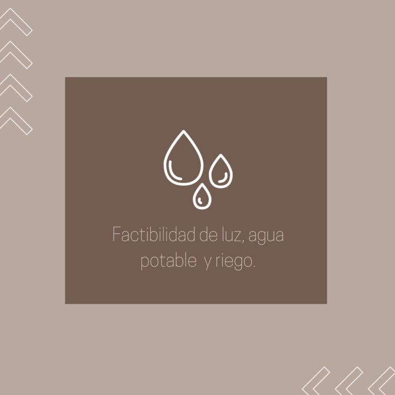 WhatsApp Image 2023-05-26 at 13.58.13